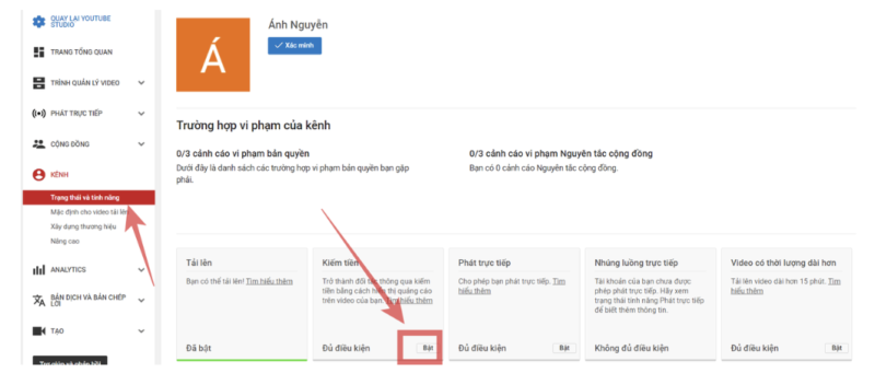 Tìm hiểu chương trình đối tác YouTube Partner Program 3 Tìm hiểu chương trình đối tác YouTube Partner Program
